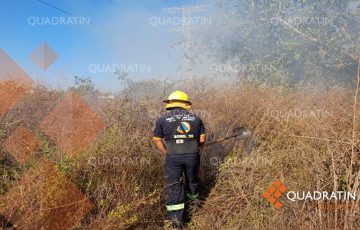 Aumentan Veces M S Da Os Por Incendios Forestales En Guerrero En