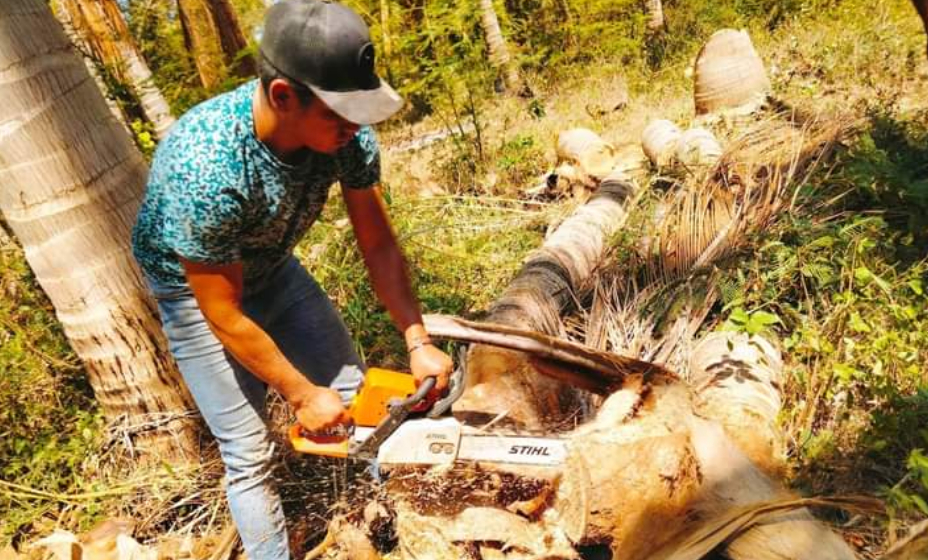 Imparte Cecoco capacitación a productores en manejo de plagas