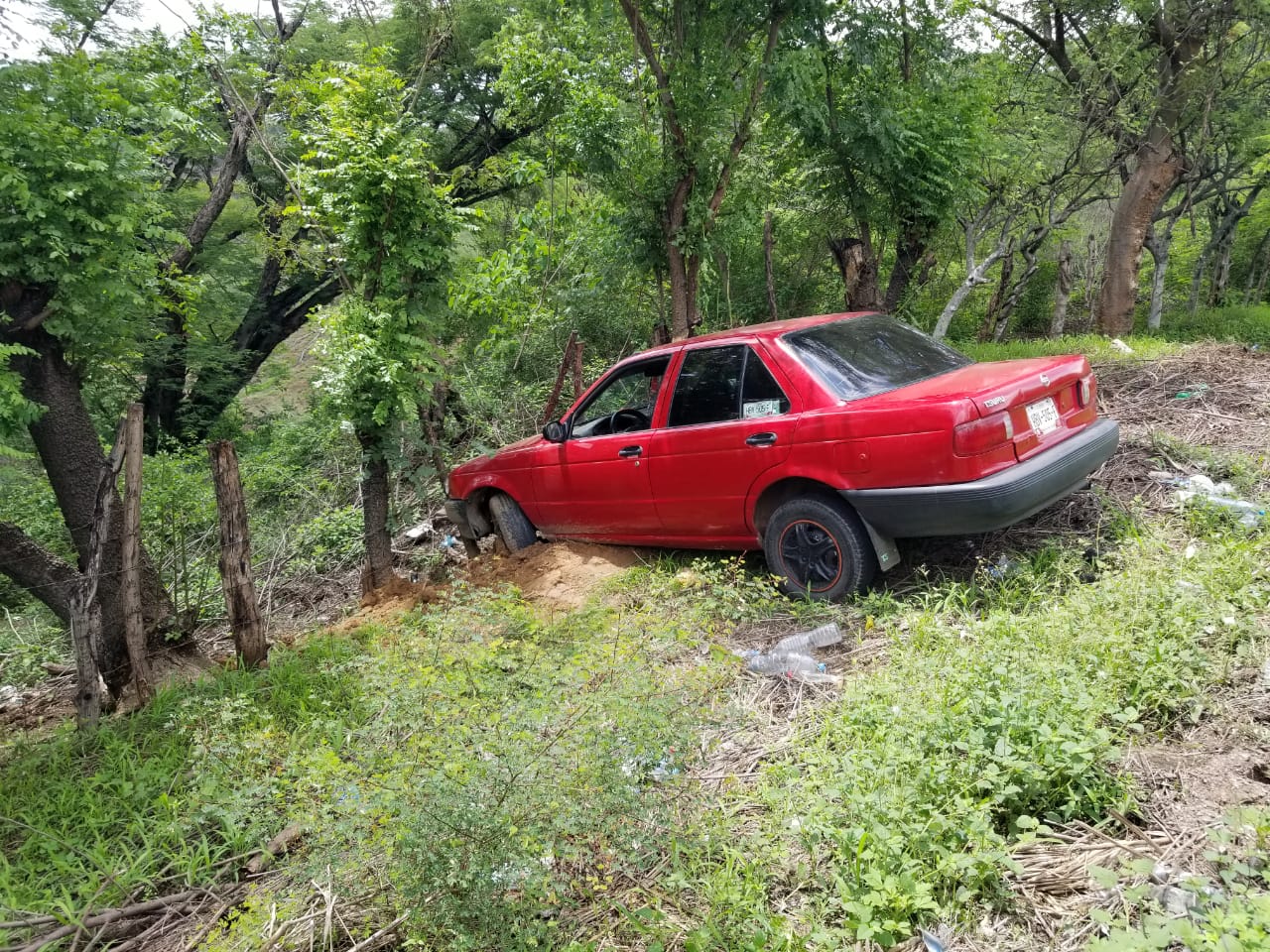 Conductor se sale de la carretera e impacta contra un árbol en Ometepec