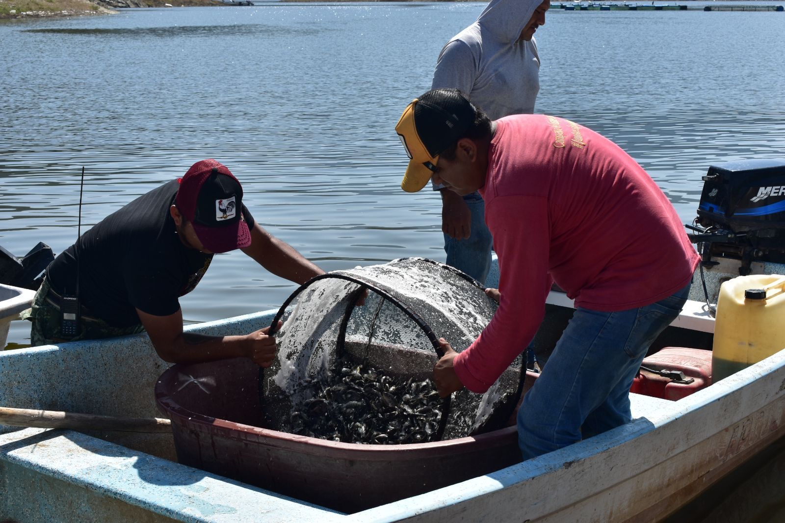 Entrega Media Luna Mil Cr As De Tilapia En Cocula Y Eduardo Neri