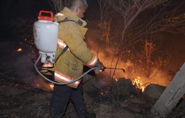 Supervisa Gobierno De Acapulco Da Os En Zona De Incendio Forestal