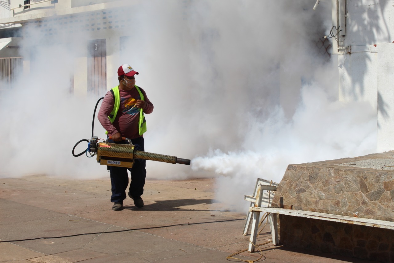 Refuerzan trabajos de fumigación y abatización en Acapulco - Quadratín ...