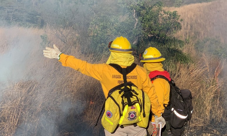 PC reporta 14 incendios en Guerrero que han afectado 397 hectáreas