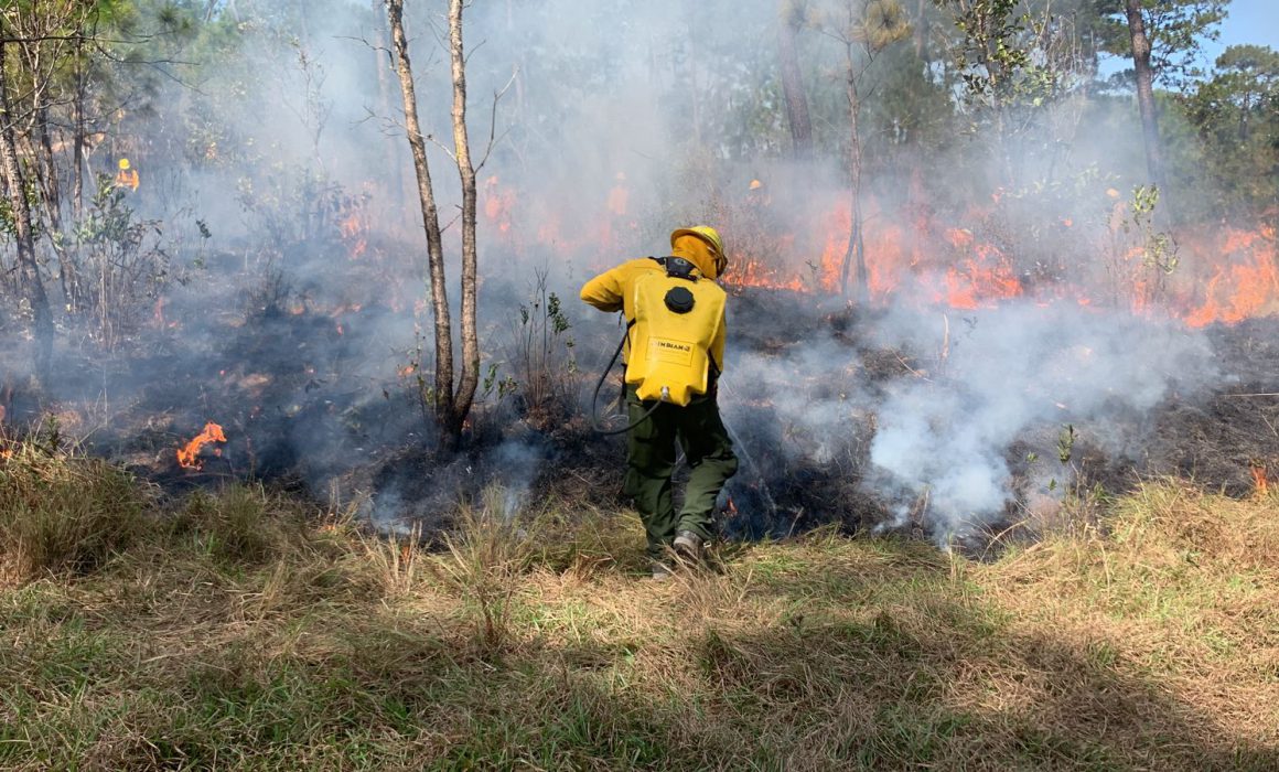 Recomienda Gobierno De Guerrero Intensificar Acciones Contra Incendios