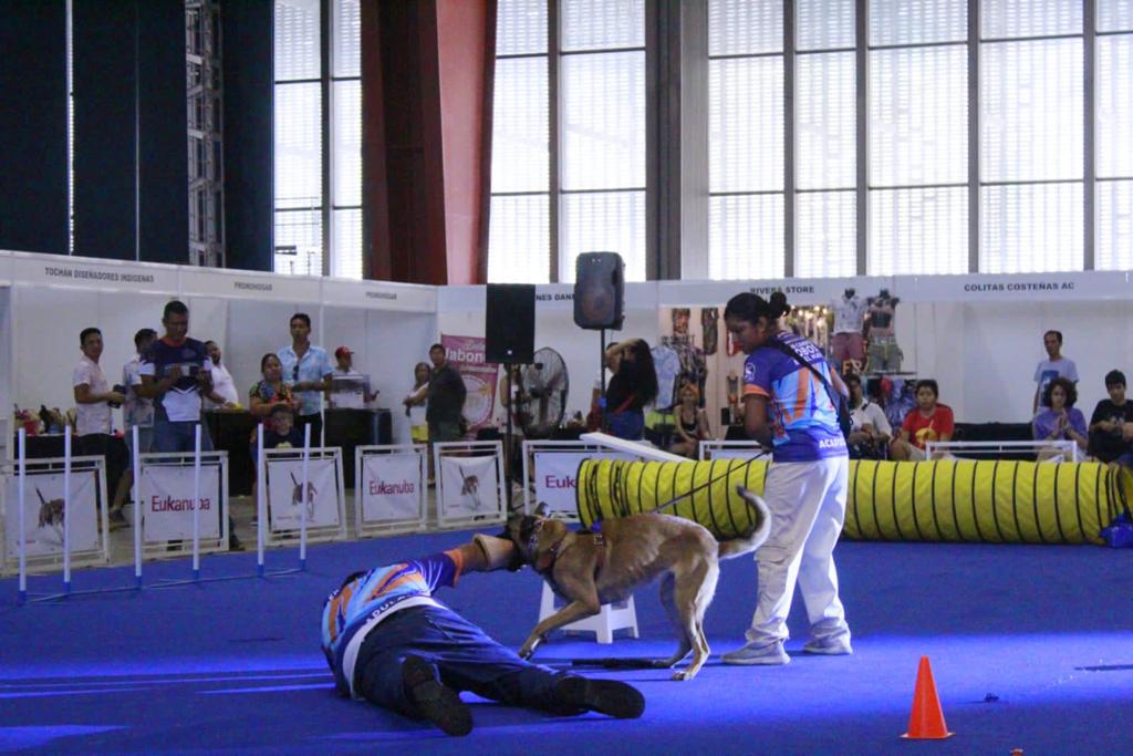 Éxito de la Exposición Canina de Écija
