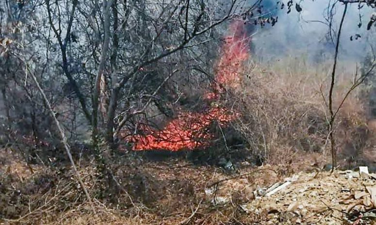 Registra Conafor 28 incendios forestales diarios en todo el país