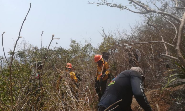 Continúa el combate del incendio forestal en El Veladero de Acapulco