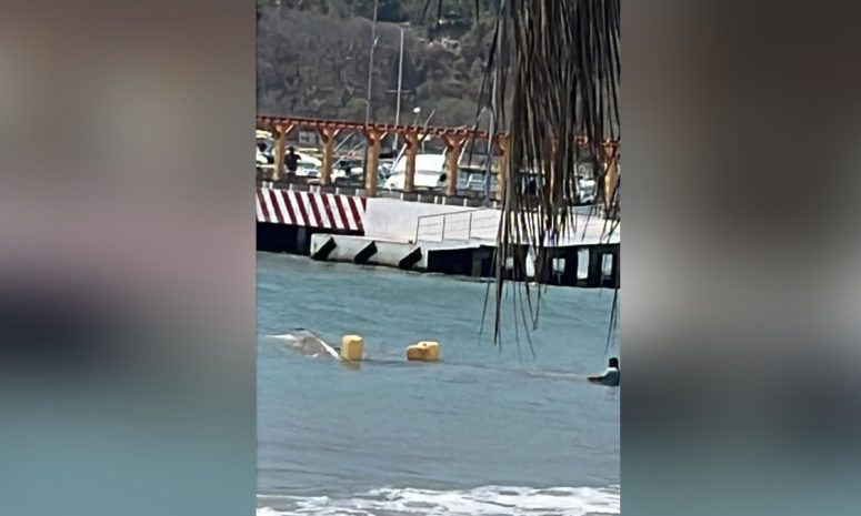 Se hunde lancha por mar de fondo en Zihuatanejo; cierran navegación