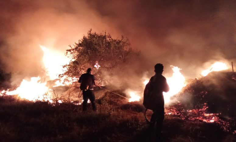 Atienden brigadistas incendio de pastizal en la Bonfil de Acapulco