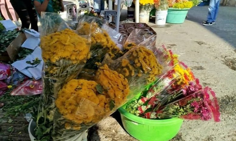 Baja venta de flores hasta 65% en Día de las Madres en Zihuatanejo