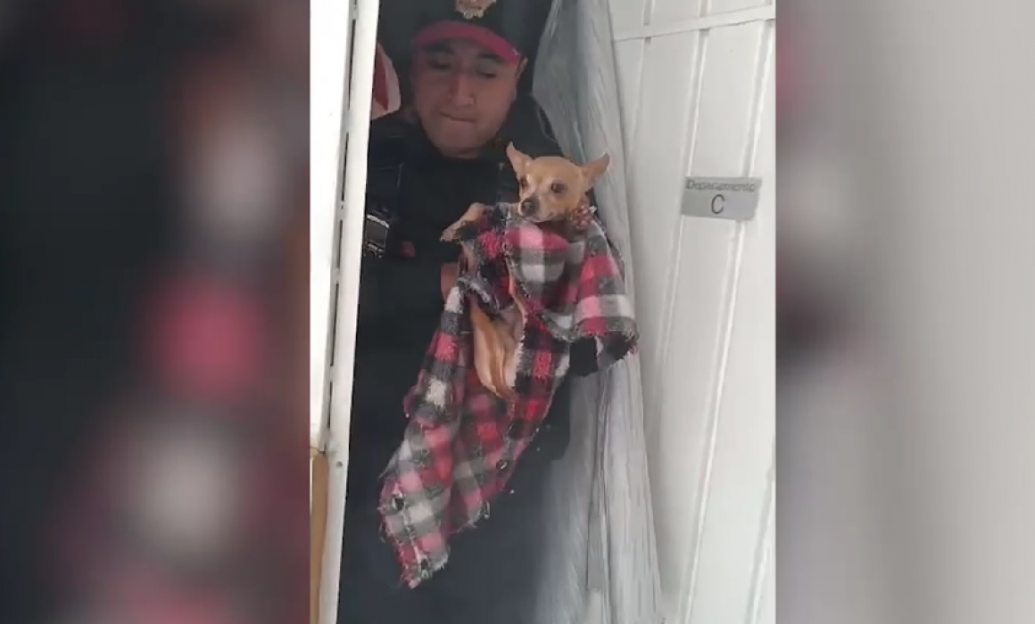 Rescatan a perrito de incendio en casa en CDMX - Quadratín Guerrero