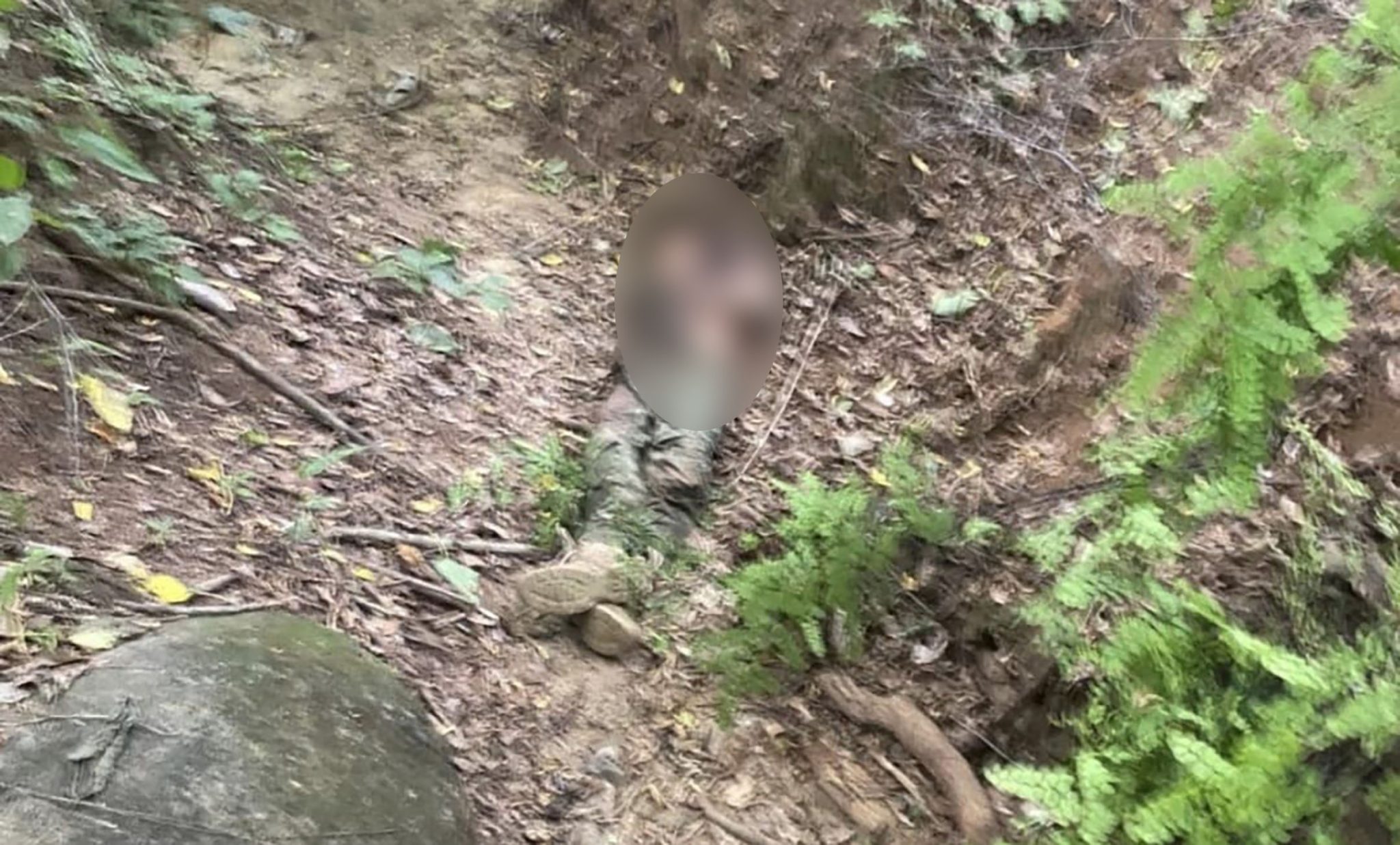 Gro Gro Enfrentan pobladores al narco y matan a 4 sicarios en Petatlán ...