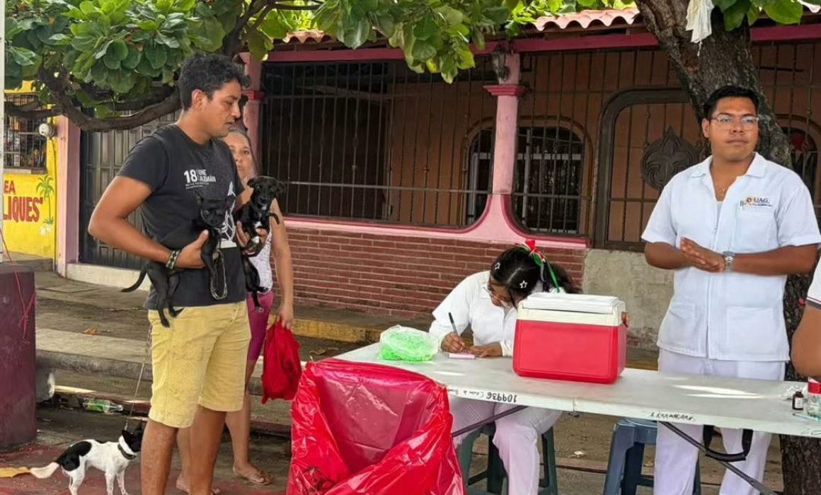 Gro Gro Llevan vacunación antirrábica para mascotas a zona poniente de Acapulco ...