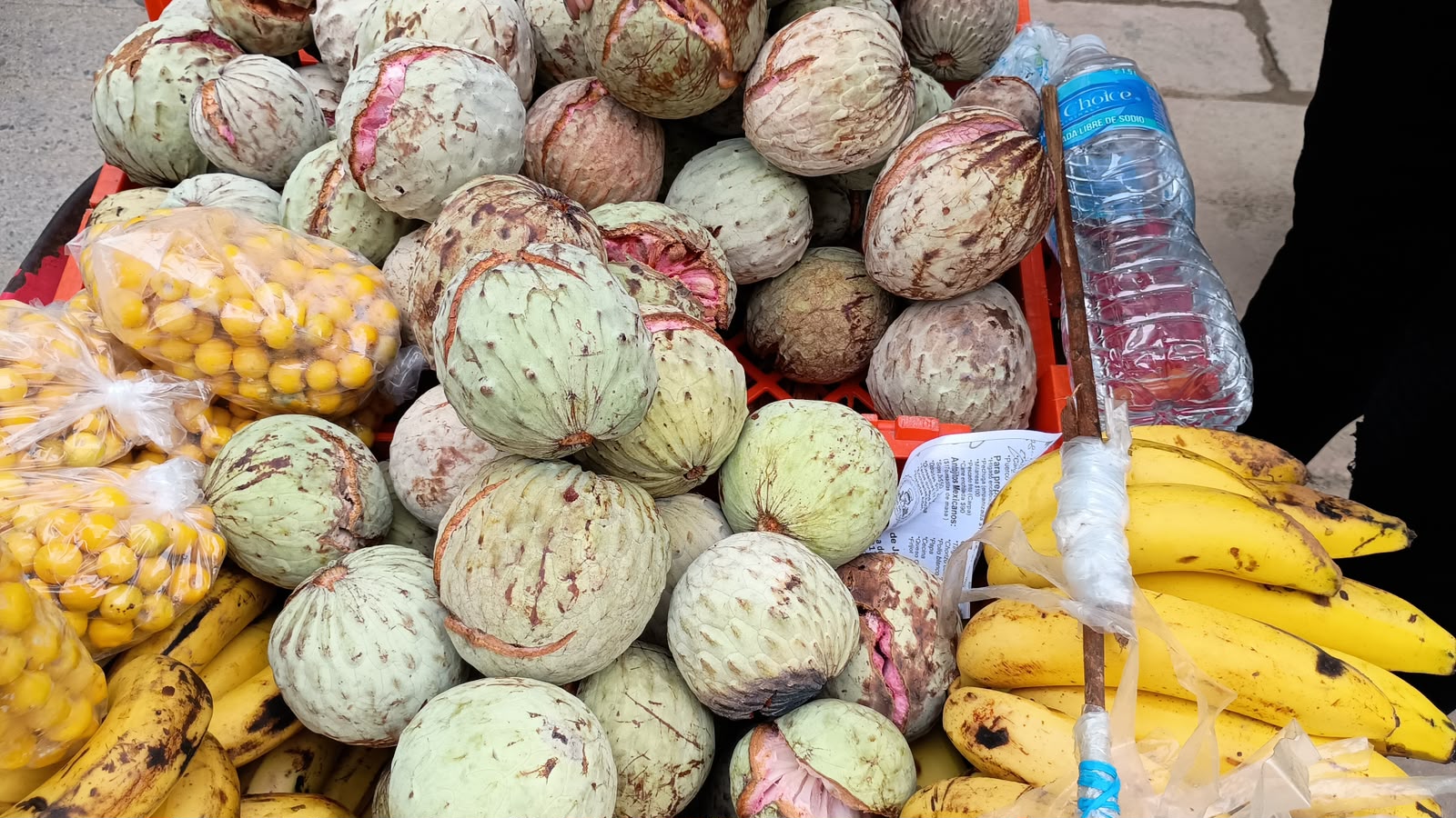 Gro Gro Hay baja cosecha de ilama en Atoyac por escasa lluvia: productor ...