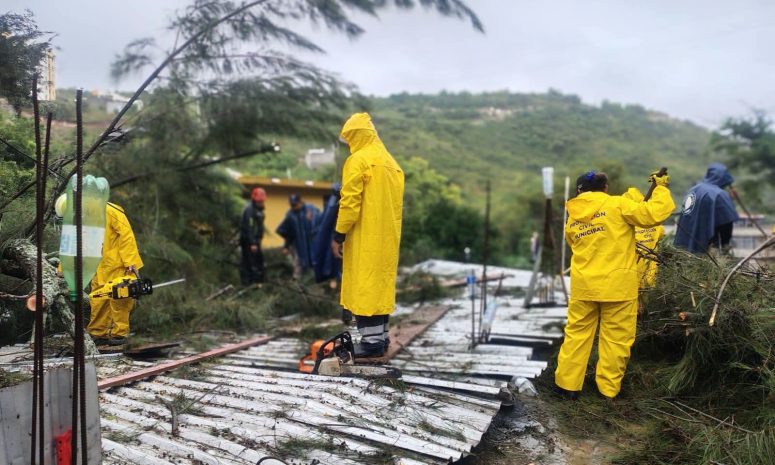 Caen 2 árboles en Chilpancingo por las lluvias del huracán Simón