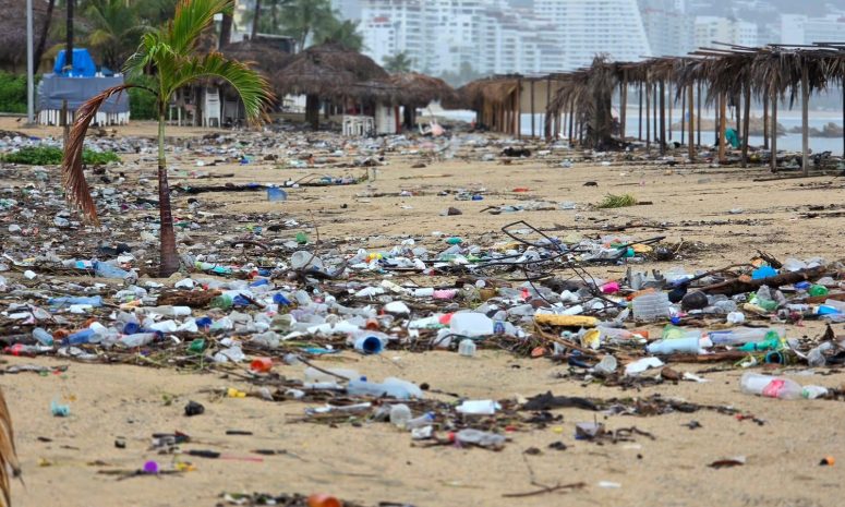 Recolectan 100 toneladas de basura en playas de Acapulco ¡y aún falta!
