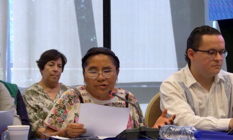 Indígena de Guerrero denuncia ante la CIDH violencia e impunidad
